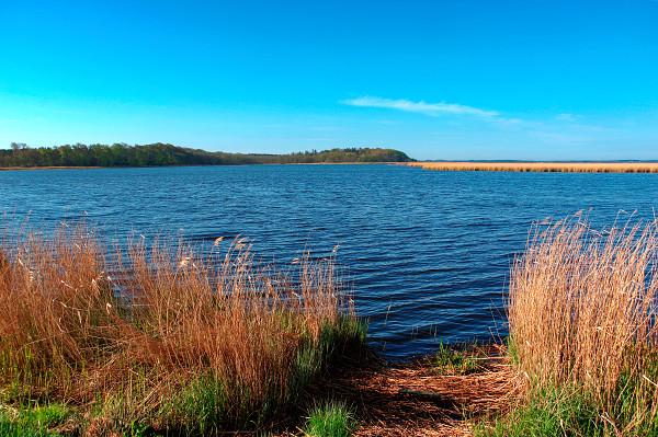 achterwasser-usedom-privatvermieter