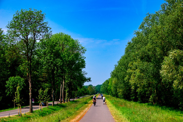 koserow-radweg-usedom