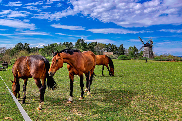 ostsee-reisen-benz-usedom
